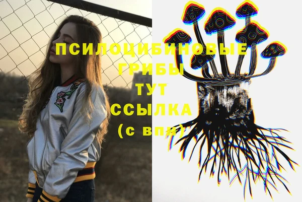 Альфа ПВП Алексеевка